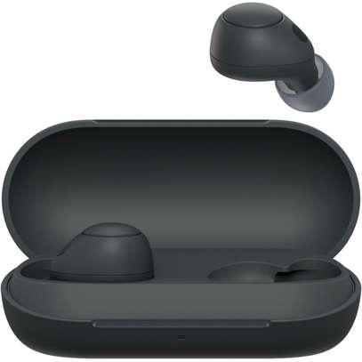 Sony WF-C700N Noise Canceling Truly Wireless Earbuds image 4