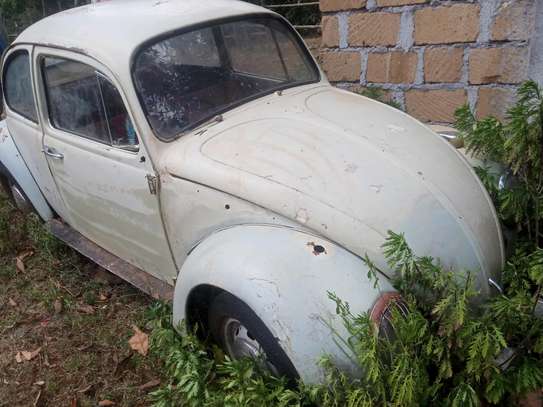 Volkswagen beetle image 1