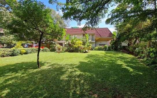 3 ac Commercial Property with Backup Generator in Kileleshwa image 7