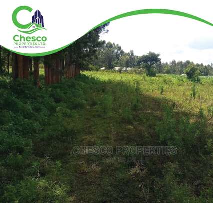 1 Prime Acre for Sale Harambee Market next to Bulimbo Girls image 2