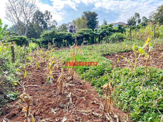 0.05 ha Residential Land at Muthiga image 17