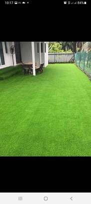 Quality Grass carpet image 1