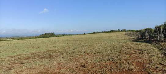 30 ACRES PROPERTY FOR SALE IN NAROMORU WITH A RIVER FRONTAGE image 3