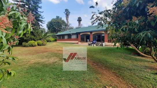 0.5 ac Commercial Property with Backup Generator in Kitisuru image 19