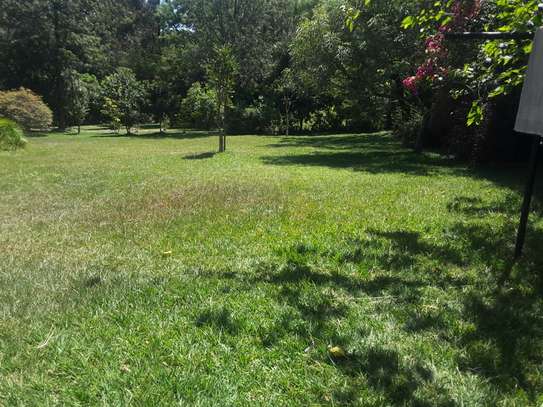 Lovely 5 BR House plus Dsqs in Karen on One Acre Land image 9