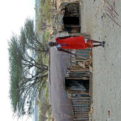 4 Days Masai Mara Lake Nakuru Group Joining Safari image 1