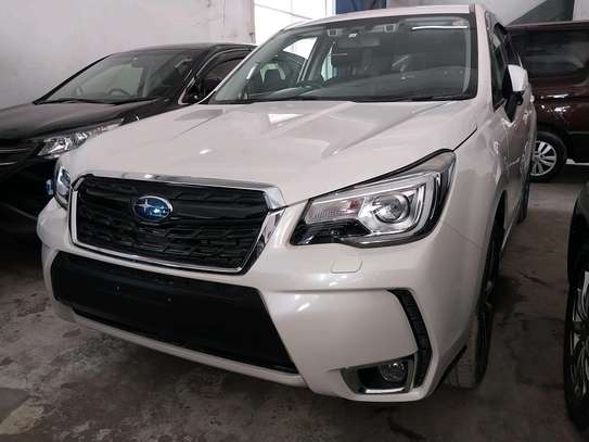 Forester  xt image 2
