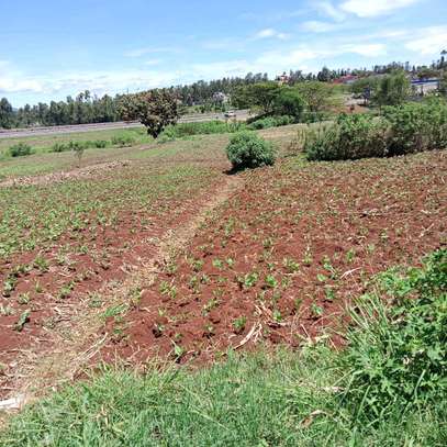 40X80ft PLOT FOR SALE AT KENOL. 100MTRS FROM HIGHWAY image 6