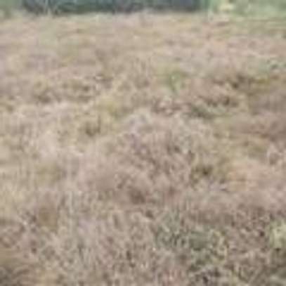 land for sale in Namanga image 3
