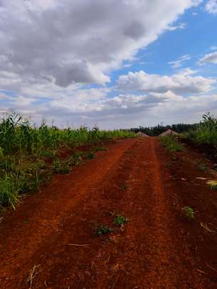FOR SALE: Prime 1/8 Acre Residential Plots in Ruiru image 4