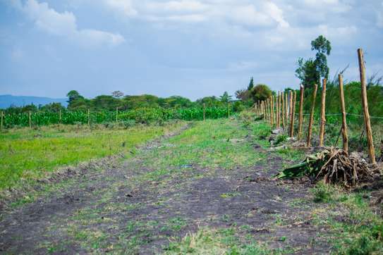 KomaHill -Along Kangundo Road 50*100 plots. image 2