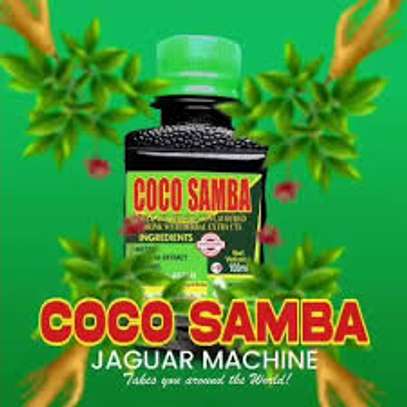 Coco Samba image 2