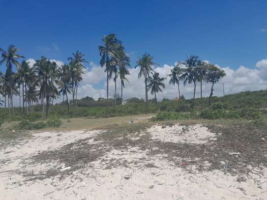 20 Acres Of Beach Land In Kikambala Kilifi Is For Sale image 2