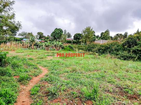 0.05 ha Residential Land at Ondiri image 15