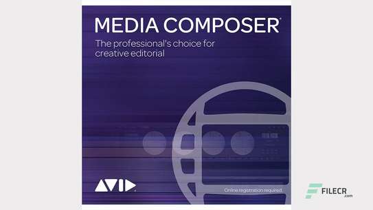 Avid Media Composer 2021 image 1
