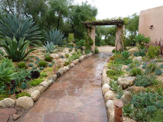 Hire Professional Gardener & Maintenance Staff | Call us for your Home and Office Gardening & Landscaping. image 12