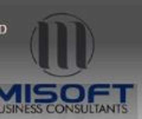 MISOFT BUSINESS CONSULTANTS image 1