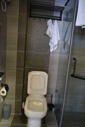 Furnished 2-Bedroom Apartment – For Rent image 3