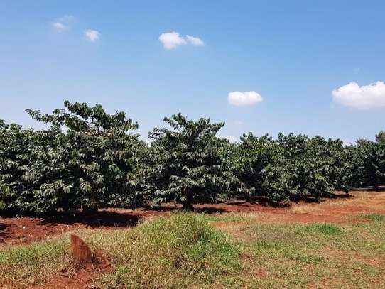 850 ac Land in Juja image 3