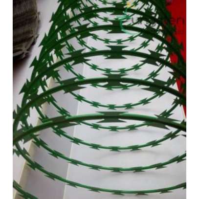 Green razor wire Double Galvanized 450mm image 3