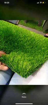 Affordable Grass Carpets -17 image 2