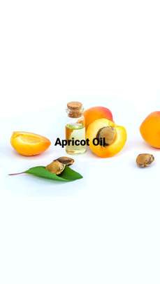 Apricot Oil image 2