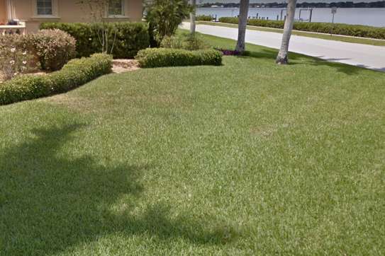 Best Lawn Mower Repair Services image 10