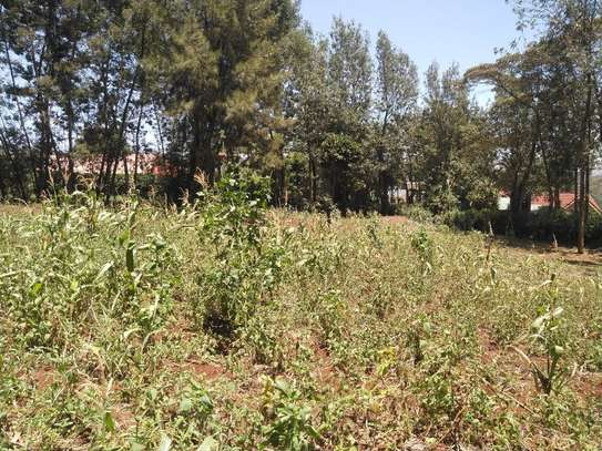 0.5 ac residential land for sale in Ngong image 7