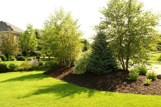 Landscaping Services in Kenya.Low Cost Garden Maintenance image 10