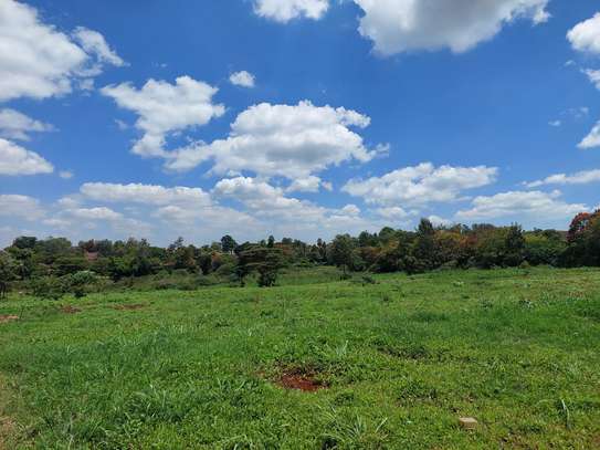 Residential Land at Eliud Mathu Streets image 1