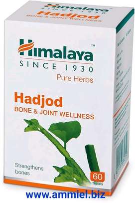 Himalaya Hadjod Bone & Joint Wellness image 1