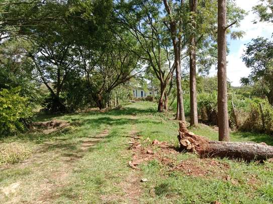 Land at Roysambu image 12