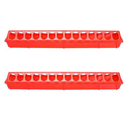 Linear Feeder for Chicks, Hens/ 50cm/28 Holes/No Wastage image 3