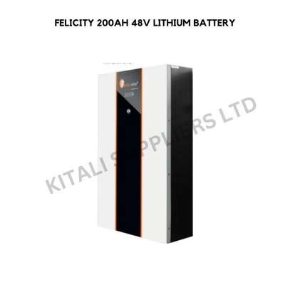 Felicity 200AH 48V Lithium Battery image 2