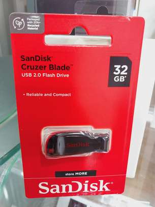 Sandisk 32GB USB Flash Disk - 32 GB Flash Drive image 1