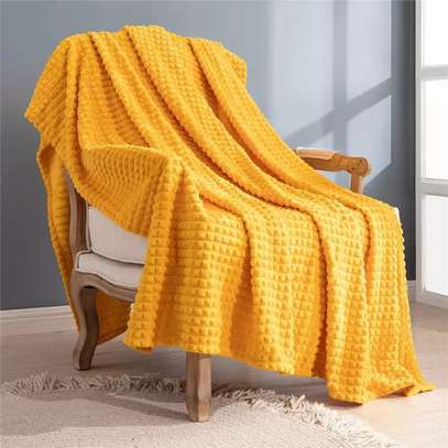 Soft fleece /sherman throw blankets/crl/zy image 5
