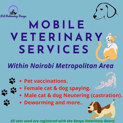 Mobile veterinary services in Nairobi. image 1