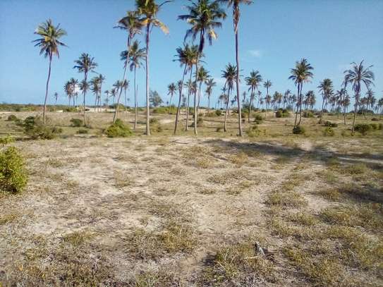 50-Acre Beach Plot For Sale in Bofa/Kilifi image 6