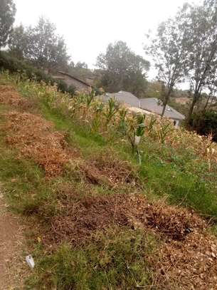 0.125 ac residential land for sale in Ongata Rongai image 8
