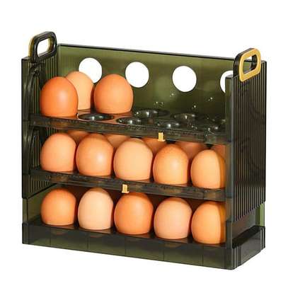 30 Egg Household Storage Box image 1