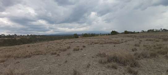 5 ACRE LAND FOR SALE IN NAROMORU image 3