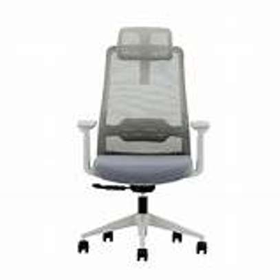 High Back Chair: Orthopedic Executive Chair image 4