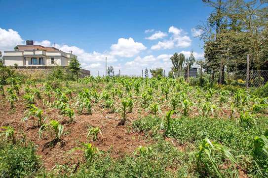 Prime Residential plot for sale in kikuyu, kamango image 6