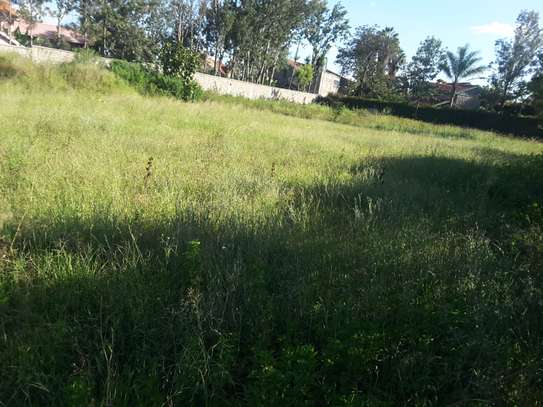 Lovely Half Acre Land in Ongata Rongai image 9