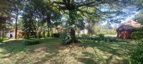 5 Bed House with En Suite in Kileleshwa image 8