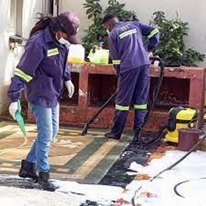 Sofa Set/Coach & Carpet Cleaning Services In Lower Kabete image 9