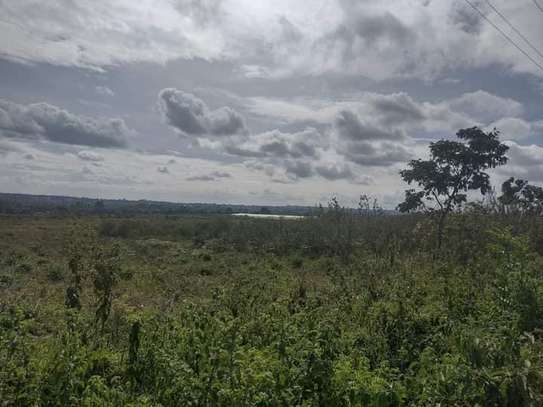 5 ac Land in Kitisuru image 6