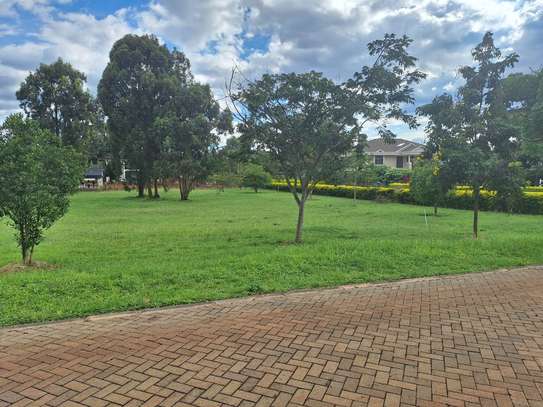1 ac Residential Land at Rhino Park Road image 2