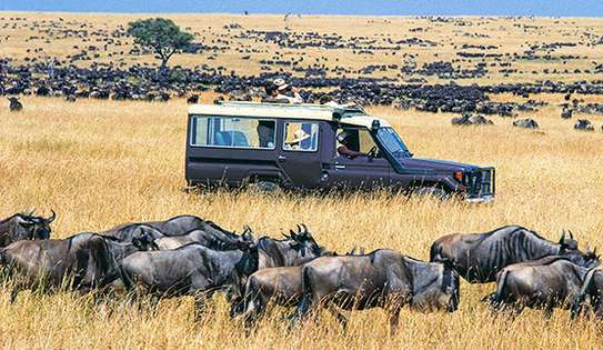 3 Days Best of Masai Mara Safari image 1