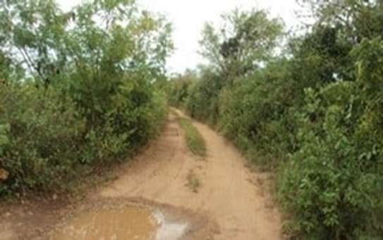 Land in Mombasa CBD image 11